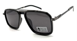 HAVVS_HV68109 A 20246