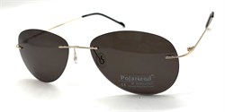 P8001 C5 POLAR 20600