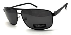 P033 C2 POLAR 20627