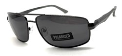 P1102 C10 POLAR 20638