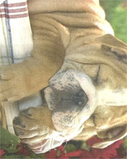 Салфетки Т-120 692485590