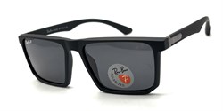 RB8375 C3 POLAR 23077