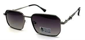 HAVVS_HV68080  B 19615