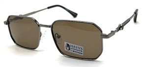 HAVVS_HV68080  C 19616