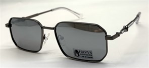 HAVVS_HV68080  F 19619