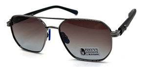 HAVVS_HV68093 D 19623