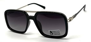 HAVVS_HV68094 B 19627