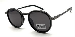 HAVVS_HV68108 A 20242