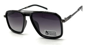 HAVVS_HV68109 B 20247