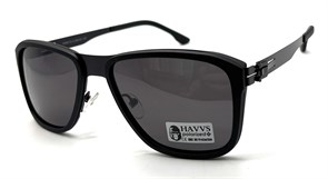 HAVVS_HV68115 A 20250