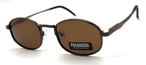 P2076 C3 POLAR 20587