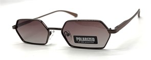 P2077 C13 POLAR 20593