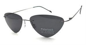 P8004 C1 POLAR 20602