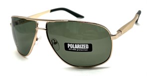 P038 C5 POLAR 20630