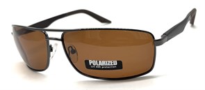 P1102 C2 POLAR 20637