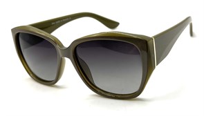 BR19038 C4 POLAR 20699