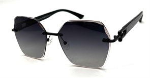 BRZ6040 C1 POLAR 20733