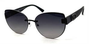 BRZ6046 C1 POLAR 20737