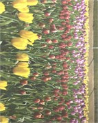 Салфетки Т-123 692485591