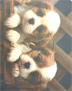 Салфетки Т-125 470313822