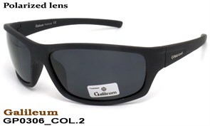 Galileum_GP0306_COL.2 17861312